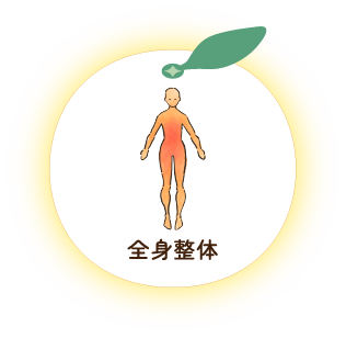 全身整体